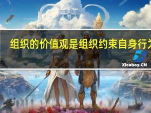 组织的价值观是组织约束自身行为的