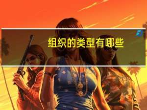 组织的类型有哪些