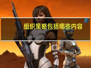 组织策略包括哪些内容