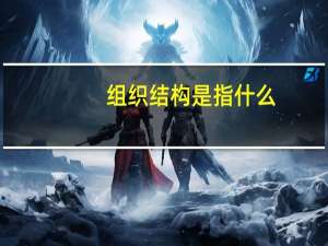 组织结构是指什么