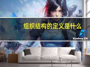 组织结构的定义是什么