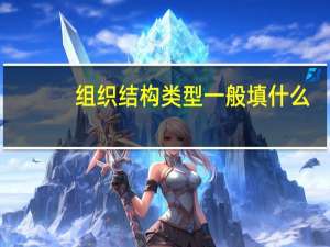 组织结构类型一般填什么（组织结构类型）