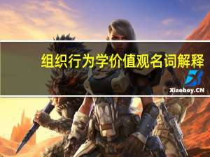 组织行为学价值观名词解释