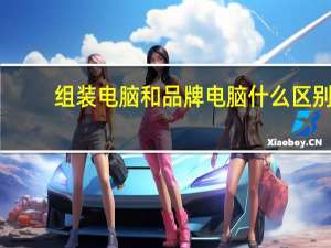 组装电脑和品牌电脑什么区别
