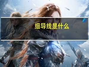 细导线是什么