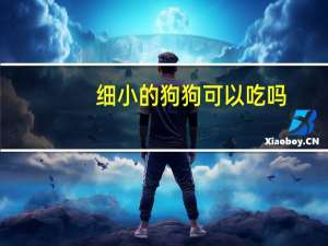 细小的狗狗可以吃吗