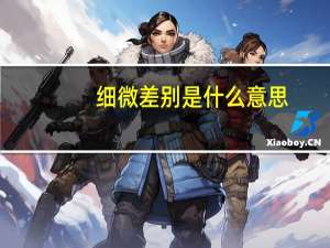 细微差别是什么意思