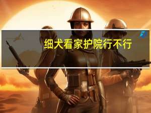 细犬看家护院行不行