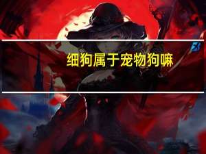 细狗属于宠物狗嘛