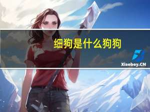细狗是什么狗狗