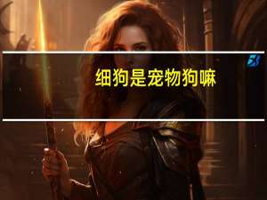 细狗是宠物狗嘛