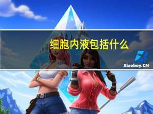 细胞内液包括什么