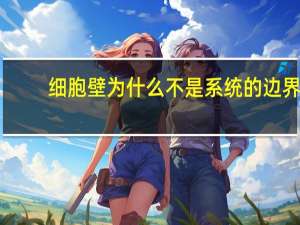 细胞壁为什么不是系统的边界