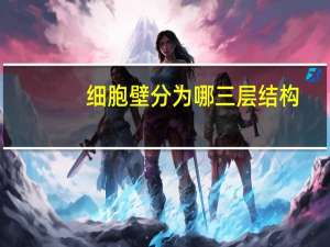 细胞壁分为哪三层结构