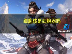 细胞核是细胞器吗