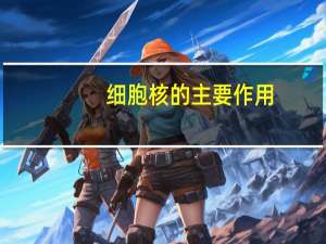 细胞核的主要作用