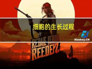 细胞的生长过程