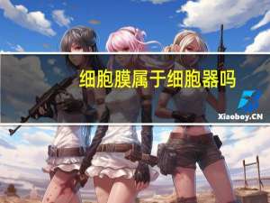 细胞膜属于细胞器吗