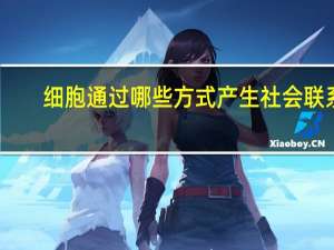 细胞通过哪些方式产生社会联系