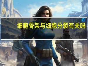 细胞骨架与细胞分裂有关吗