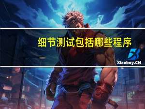 细节测试包括哪些程序