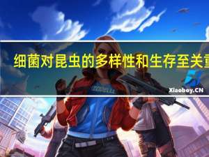 细菌对昆虫的多样性和生存至关重要