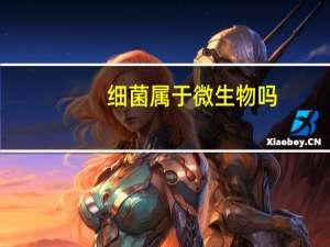 细菌属于微生物吗