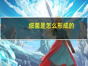 细菌是怎么形成的
