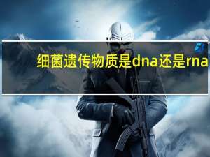 细菌遗传物质是dna还是rna