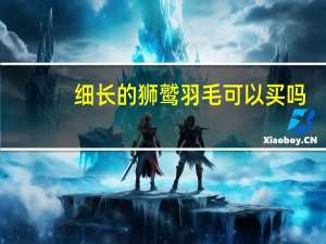 细长的狮鹫羽毛可以买吗（细长的狮鹫羽毛）