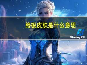 终极皮肤是什么意思（终极皮肤）