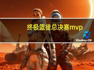 终极篮徒总决赛mvp（终极篮徒）