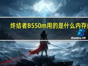 终结者B550m用的是什么内存条（终结者b5）