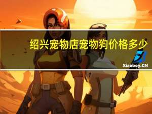 绍兴宠物店宠物狗价格多少