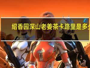 绍香园 深山老姜茶卡路里是多少