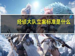 经侦大队立案标准是什么