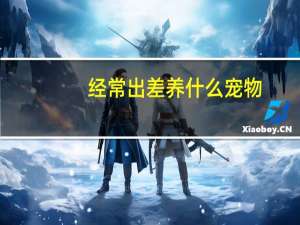 经常出差养什么宠物