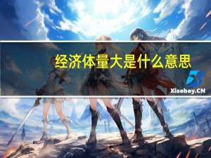 经济体量大是什么意思