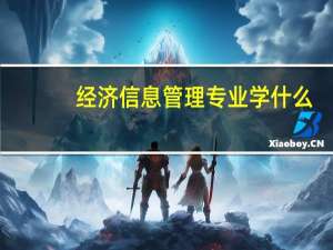 经济信息管理专业学什么