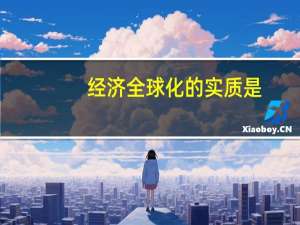 经济全球化的实质是