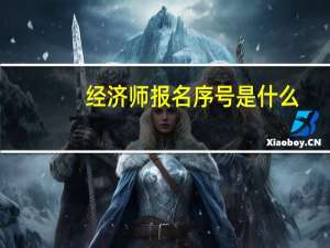 经济师报名序号是什么