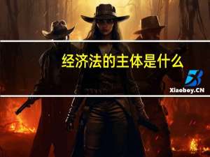 经济法的主体是什么