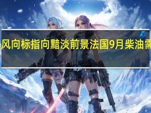 经济活动风向标指向黯淡前景 法国9月柴油需求同比大跌13%