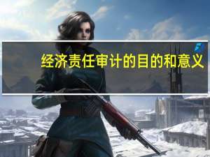 经济责任审计的目的和意义（经济责任审计的目的和意义）