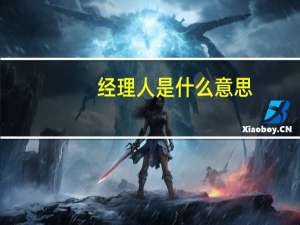 经理人是什么意思