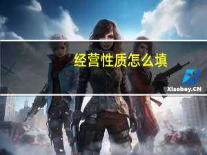 经营性质怎么填