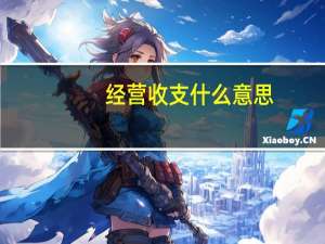 经营收支什么意思