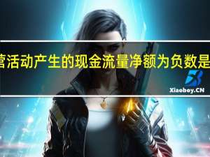经营活动产生的现金流量净额为负数是什么意思