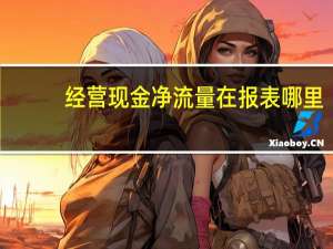 经营现金净流量在报表哪里