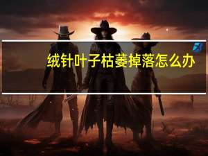 绒针叶子枯萎掉落怎么办